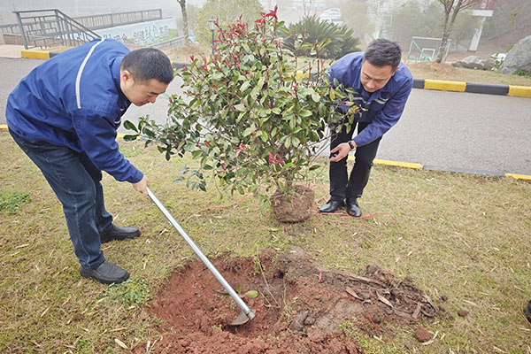 種植樹苗600X400.jpg