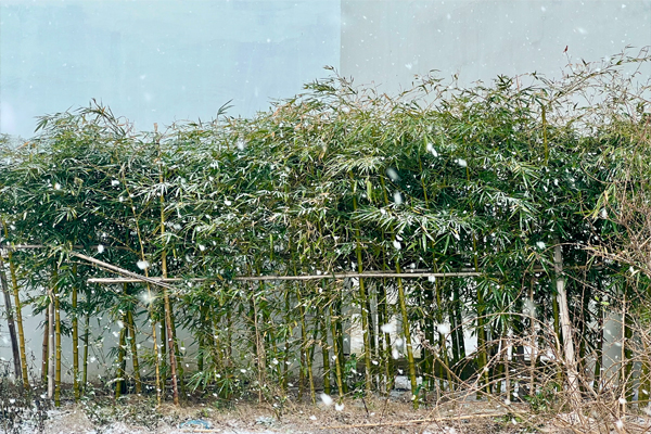 初雪2.jpg