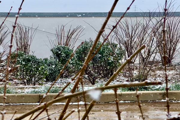 初雪3.jpg